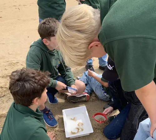 3 élèves de 5ème de l'Institut saint dominique de pau recueillent des déchets plastiques sur la plage